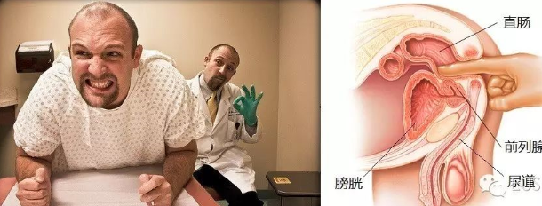 前高的感觉，没体验过的根本不懂！缩略图