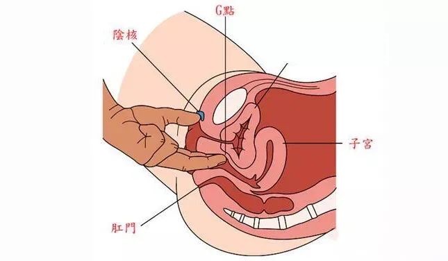 节奏对了，双方爱.爱才更舒服！缩略图