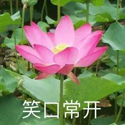 人生得意须尽欢，car震一次行不行？缩略图