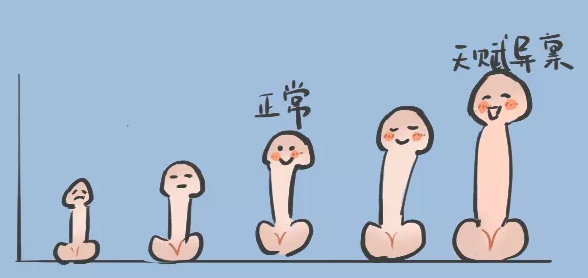 男人丁13cm什么水平，能让TA爽吗?缩略图