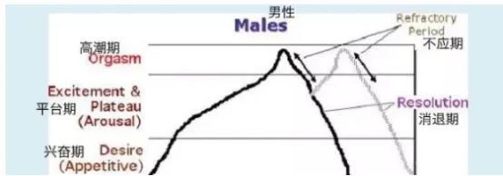 女生也有「贤者时间」吗缩略图